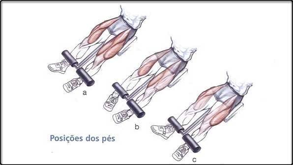 cadeira-flexora-2-malhando-certo