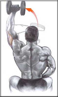 triceps-frances-unilateral