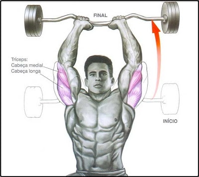 triceps-frances