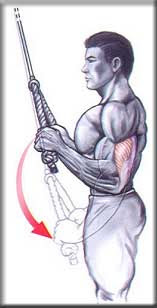 triceps-puxador-corda