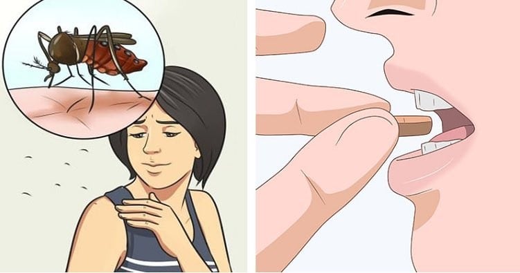 Vitamina Para Nunca Mais Ser Mordido por Mosquitos Vitamina Para Nunca Mais Ser Mordido por Mosquitos