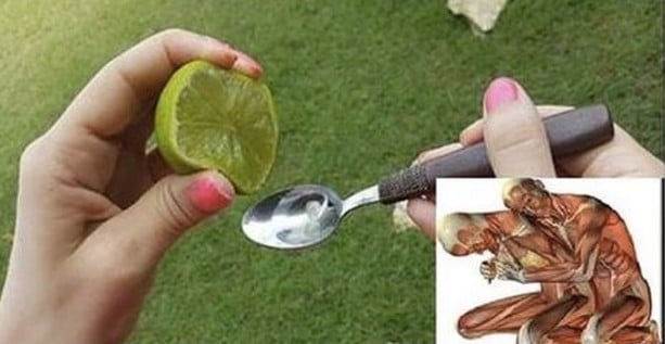 Use Limão e Azeite em Casa Use Limão e Azeite em Casa